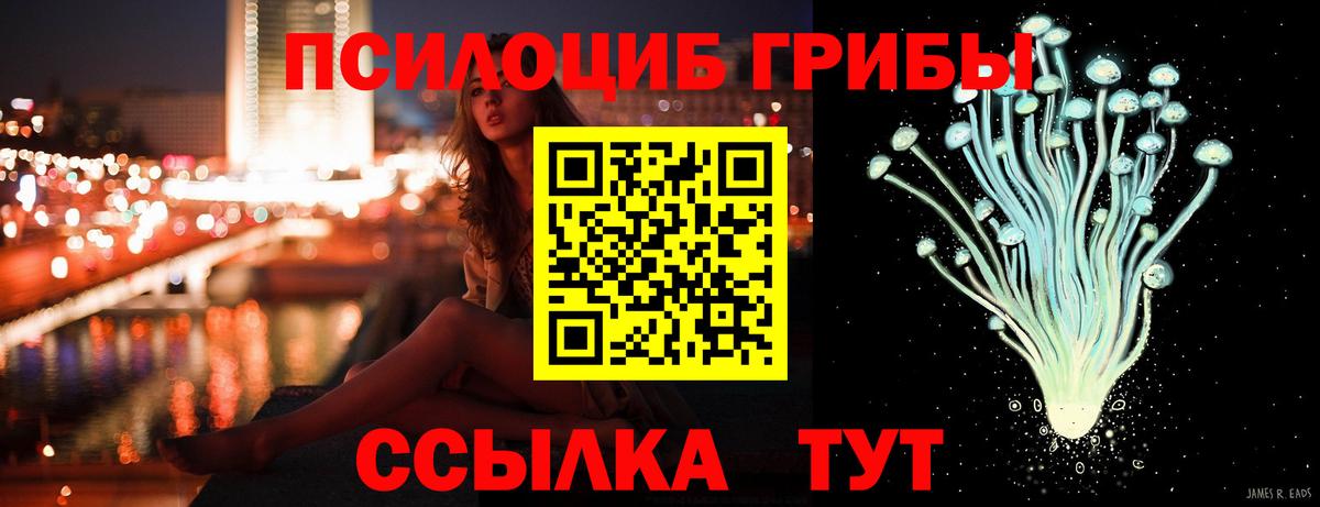 Галлюциногенные грибы Magic Shrooms  продажа наркотиков  Курчалой  Вход с VPN 
